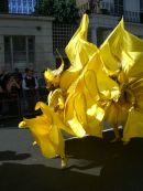 Nottinghill Carnival 2007